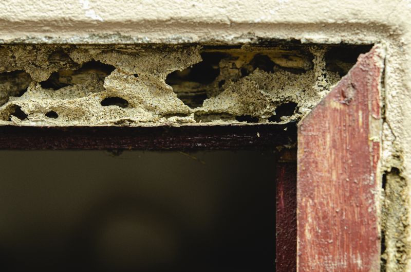 Exterior Door Repair Cost — Cost of Exterior Door Repair